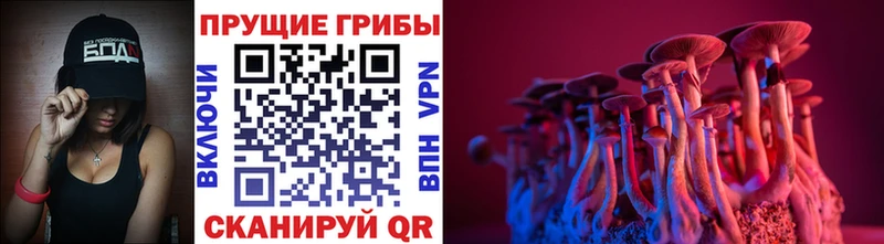 Псилоцибиновые грибы Magic Shrooms  Катайск 